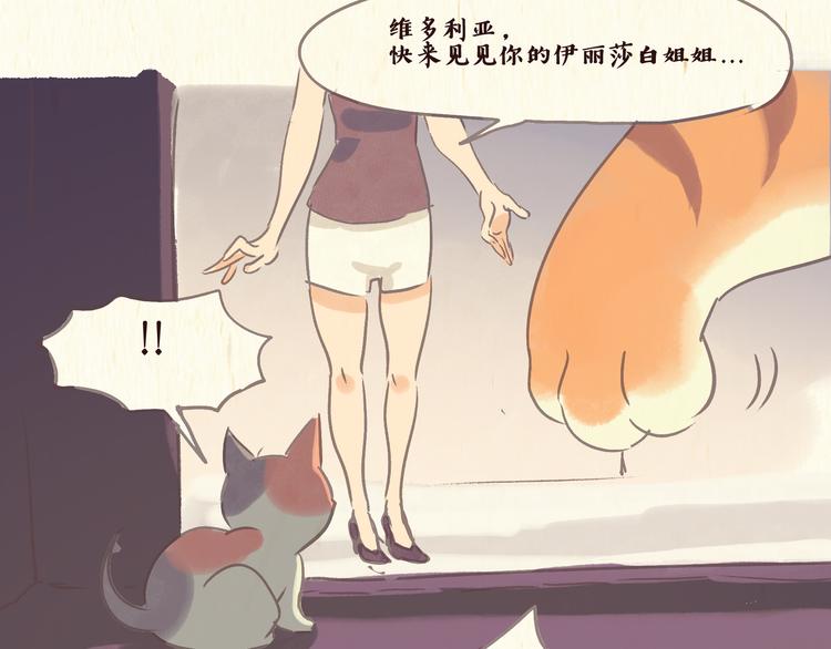 流浪猫（下）-第21话