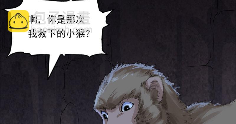 倚天屠龍記 - 第五十五回 一入山洞遇白猿(1/4) - 7