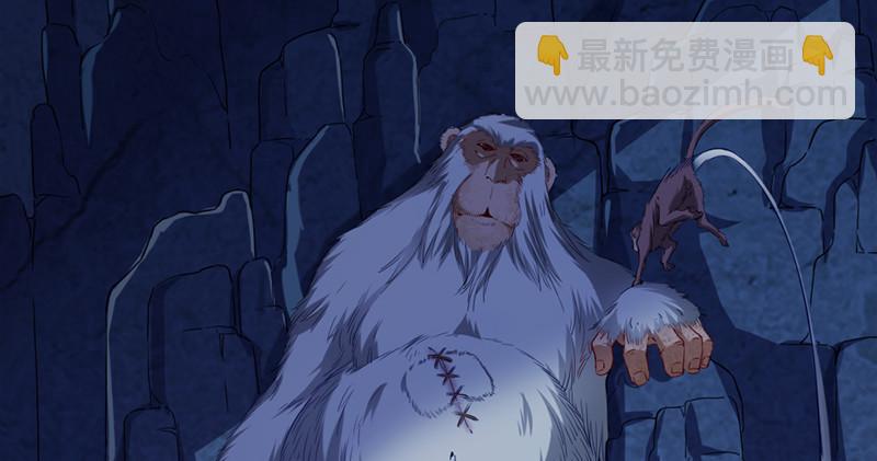 倚天屠龍記 - 第五十五回 一入山洞遇白猿(2/4) - 2