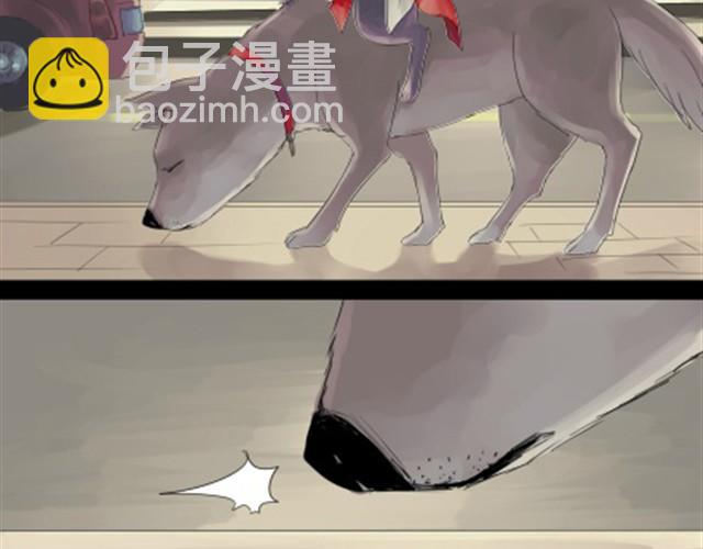 一条狗#11 失踪地点-第11话