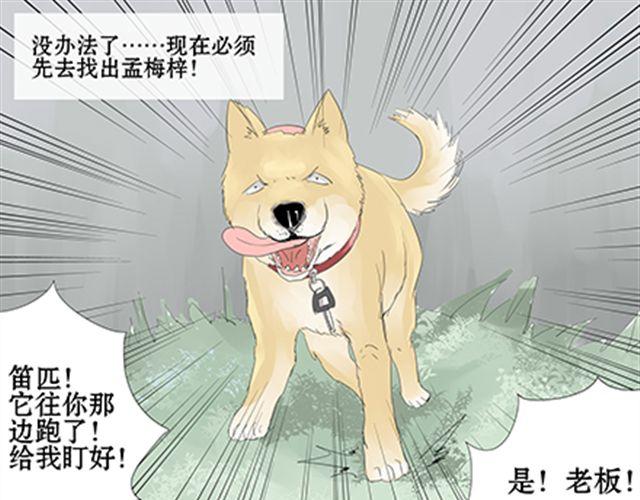 一条狗#18 翔-第15话