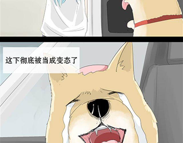 一条狗#20 再见-第17话