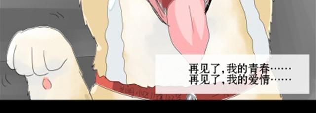 一条狗#20 再见-第17话