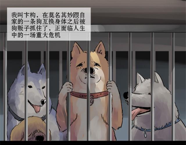 一条狗#3 互换之旅-第3话