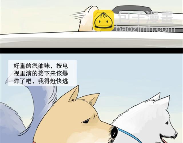 一条狗#3 互换之旅-第3话