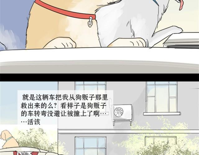 一条狗#3 互换之旅-第3话