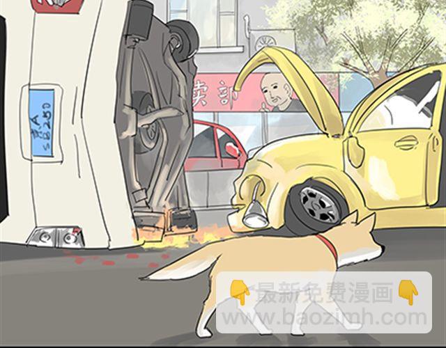 一条狗#3 互换之旅-第3话