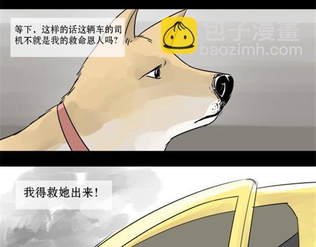 一条狗#3 互换之旅-第3话