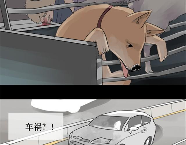 一条狗#3 互换之旅-第3话