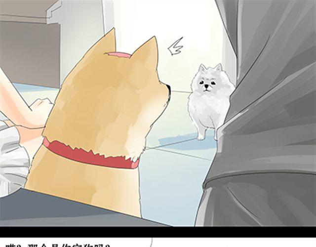 一条狗#24 人生完蛋了-第21话