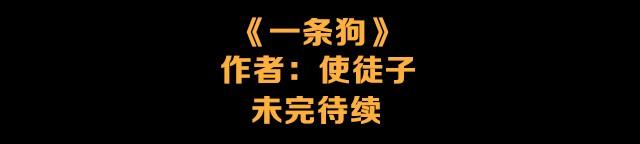 一条狗#24 人生完蛋了-第21话