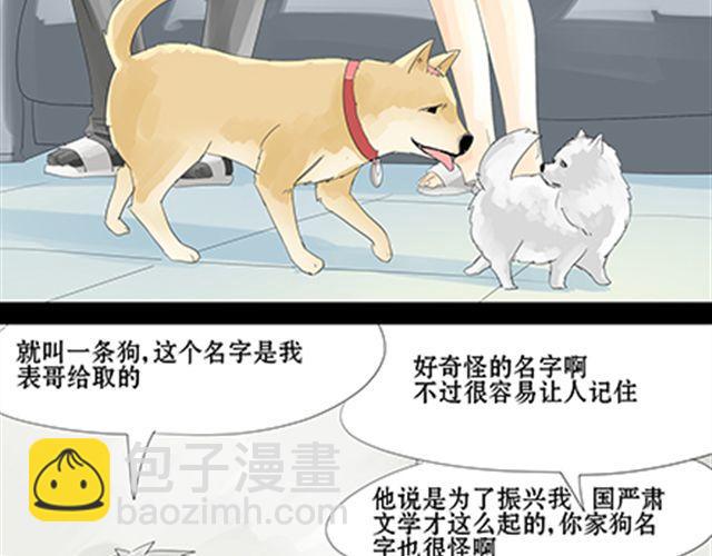 一条狗#24 人生完蛋了-第21话