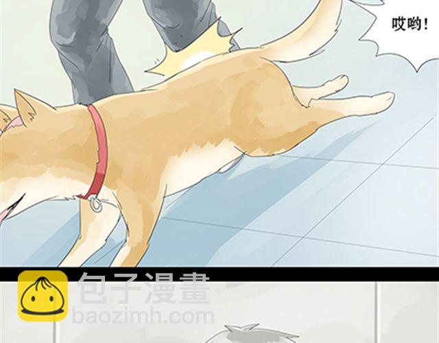 一条狗#24 人生完蛋了-第21话