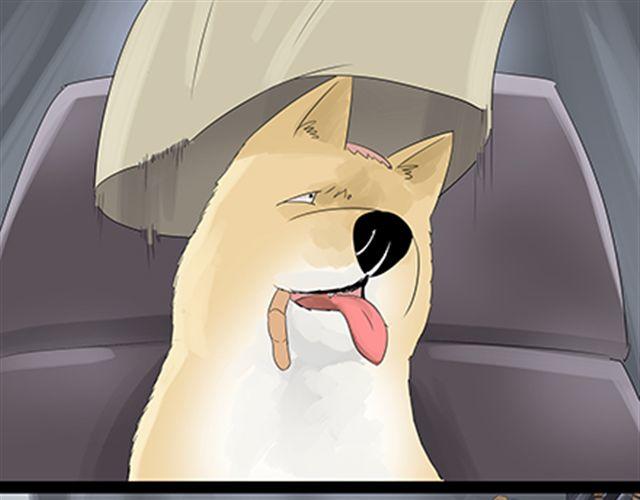 一条狗#30-第27话