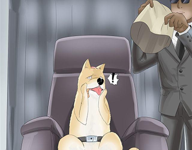 一条狗#30-第27话