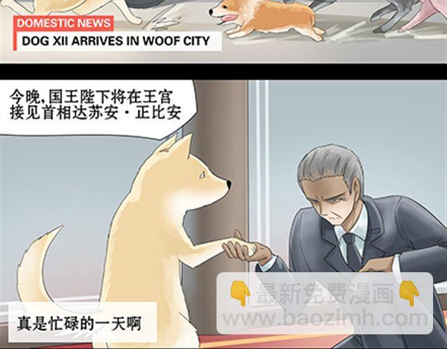 一条狗#32-第29话