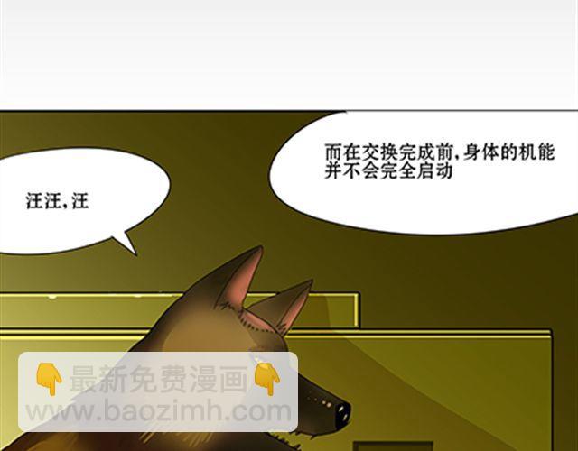 一条狗#40-第37话