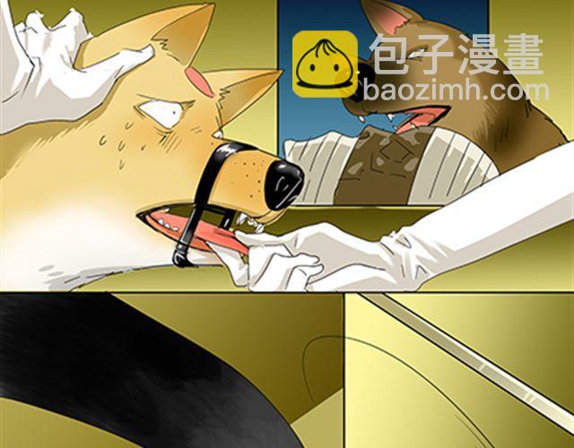 一条狗#40-第37话