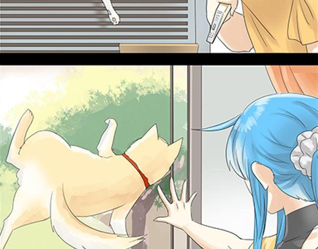 一条狗#43-第39话