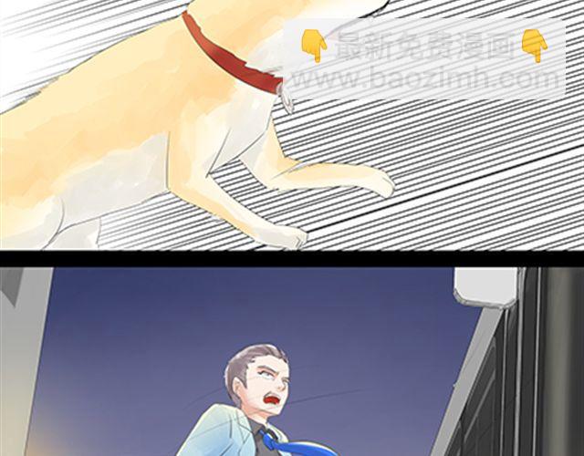 一条狗#45-第41话