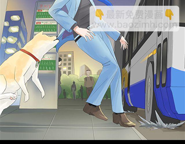 一条狗#45-第41话