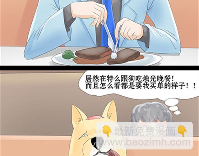 一条狗#45-第41话