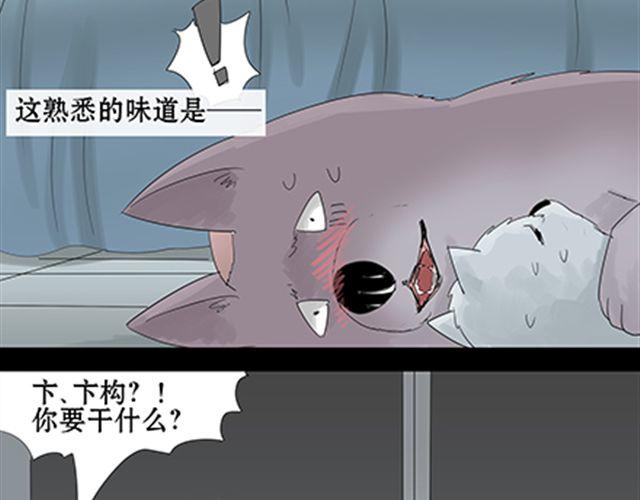 一条狗#47-第43话