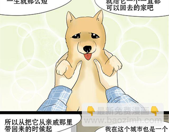 一条狗#49、50-第45话