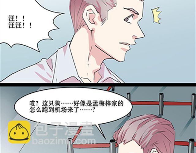 一条狗#52-第47话