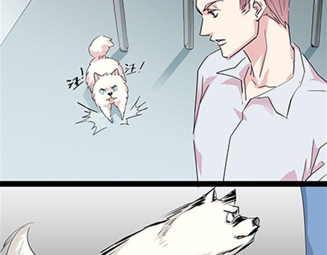 一条狗#52-第47话