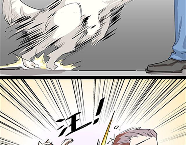 一条狗#52-第47话