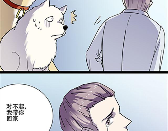 一条狗#54-第49话