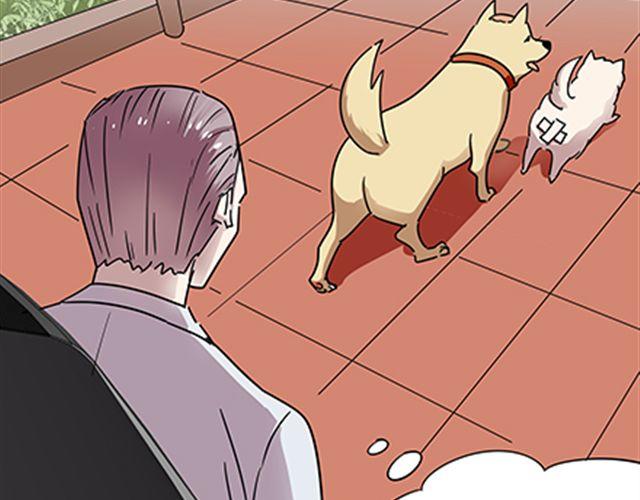 一条狗#54-第49话
