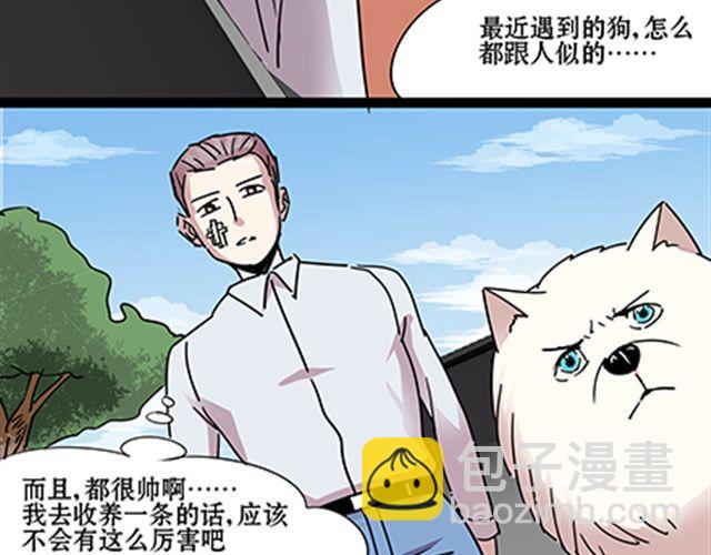 一条狗#54-第49话
