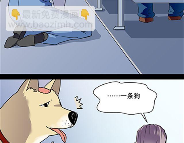 一条狗#54-第49话