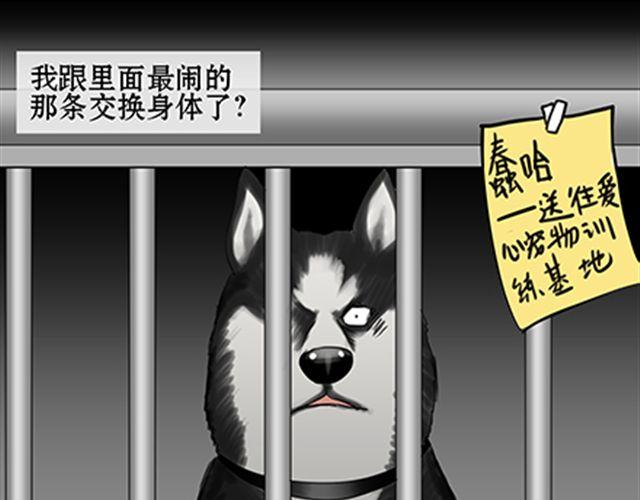 一条狗#56、57 被送到虐狗基地了！-第51话