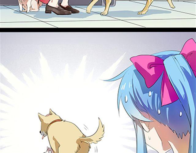 一条狗#56、57 被送到虐狗基地了！-第51话