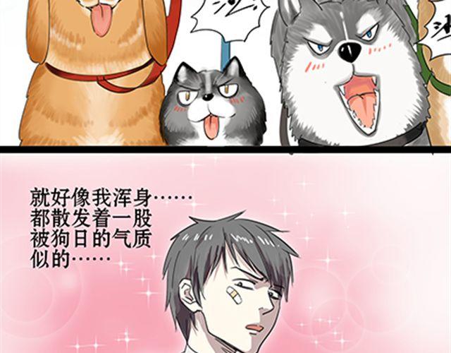 一条狗#56、57 被送到虐狗基地了！-第51话