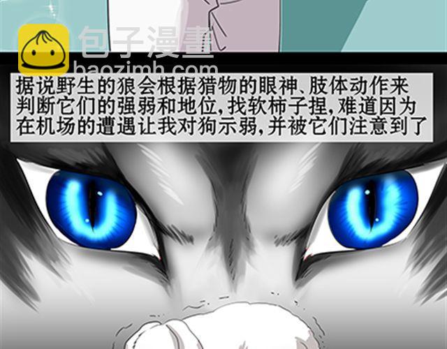 一条狗#56、57 被送到虐狗基地了！-第51话