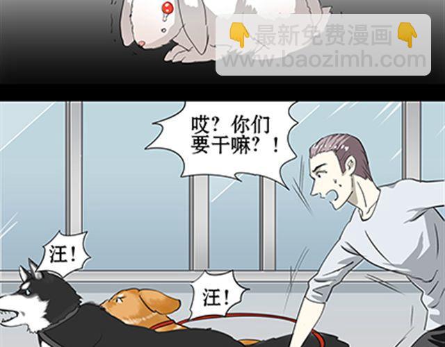 一条狗#56、57 被送到虐狗基地了！-第51话