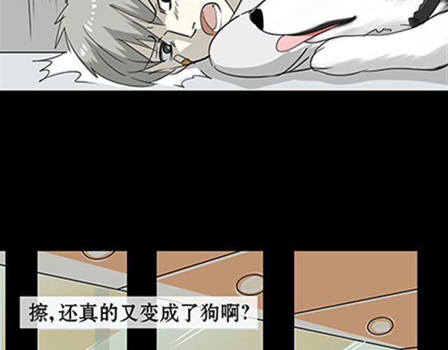 一条狗#56、57 被送到虐狗基地了！-第51话