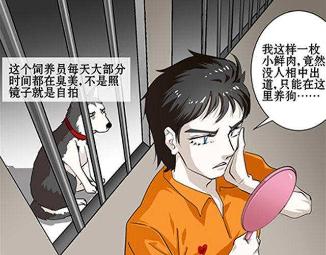 一条狗#59 他更像是一条哈士奇-第53话