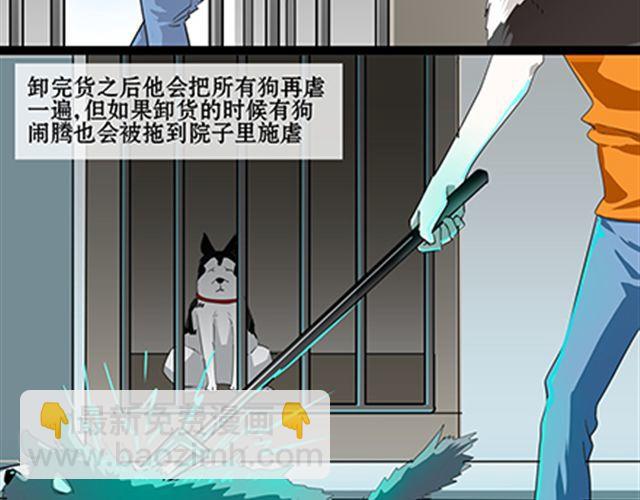 一条狗#59 他更像是一条哈士奇-第53话
