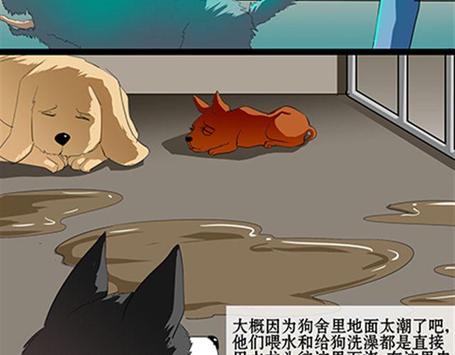 一条狗#59 他更像是一条哈士奇-第53话