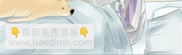 一条狗#9 上班-第9话