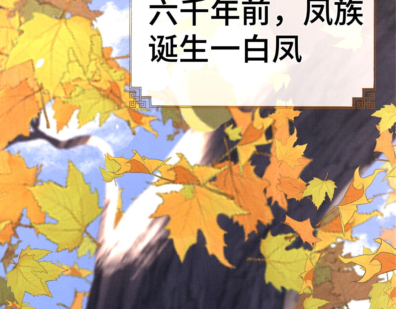 13 凤栖篇：初遇(1/3)-第19话