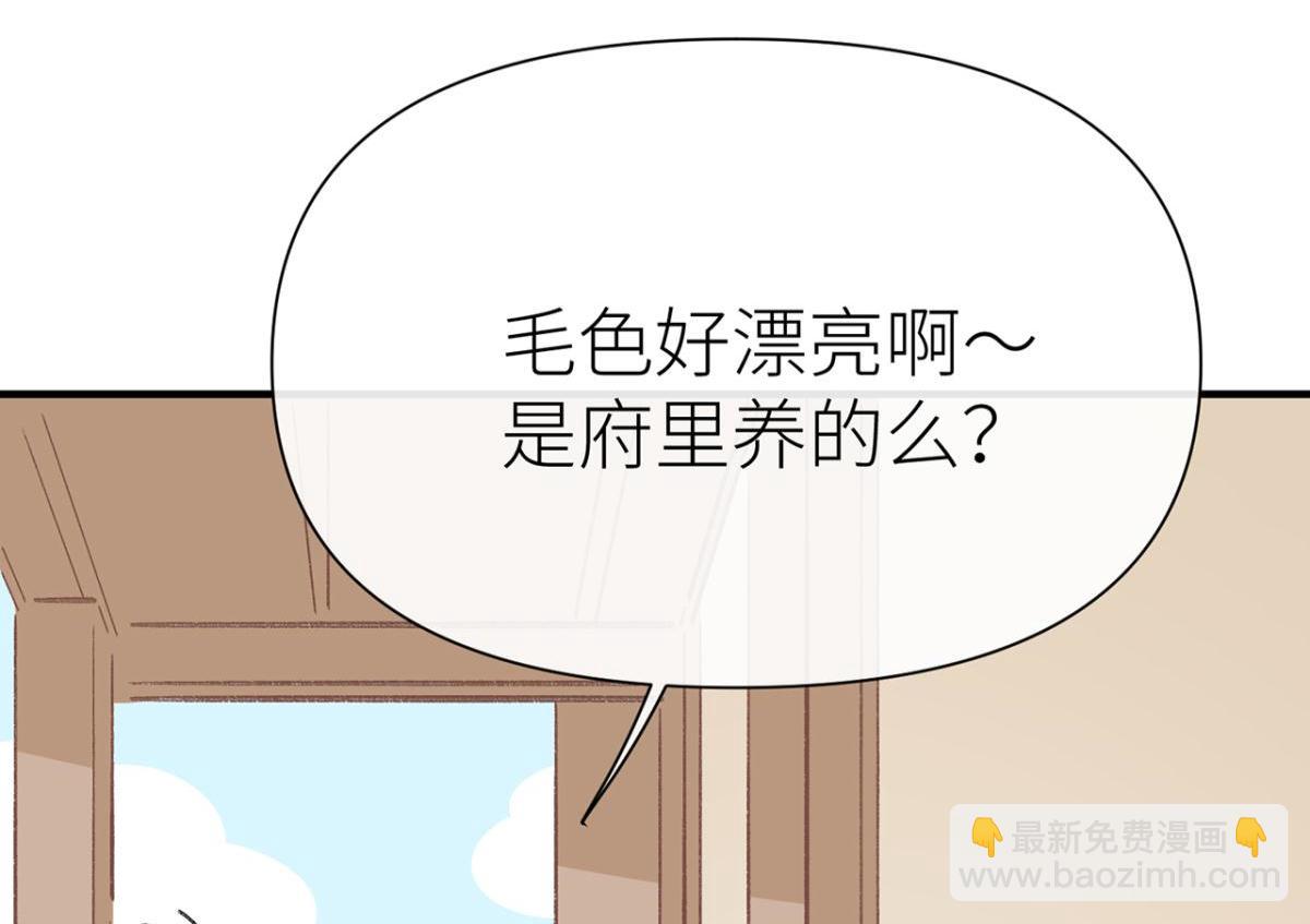 【番外】520特别篇(1/2)-第49话