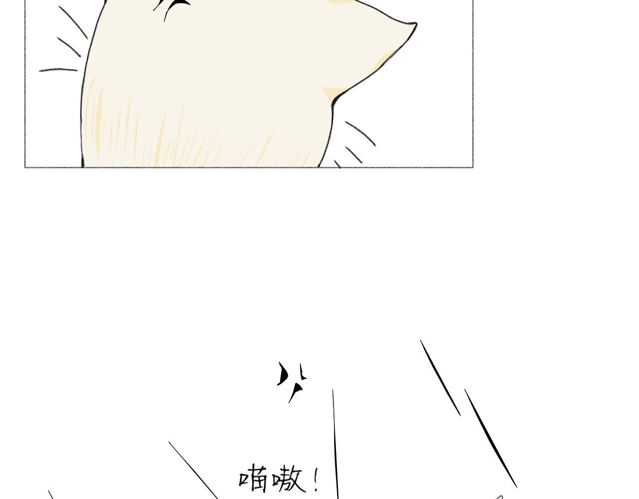臆想 - 逗貓 - 3