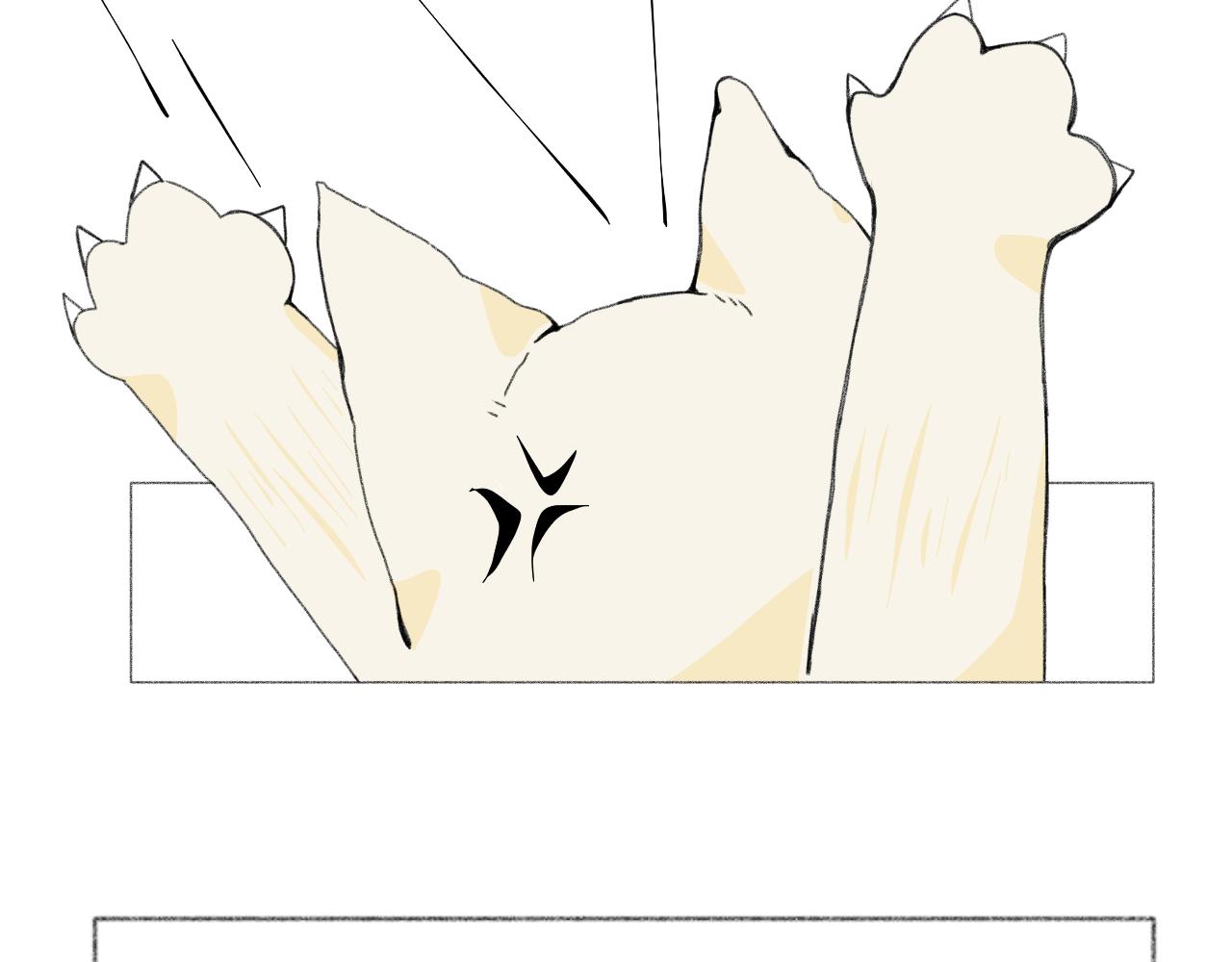 臆想 - 逗貓 - 4