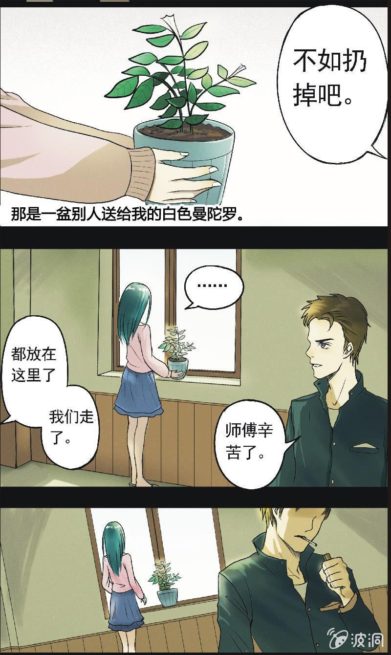 17. 盆栽（一）-第17话